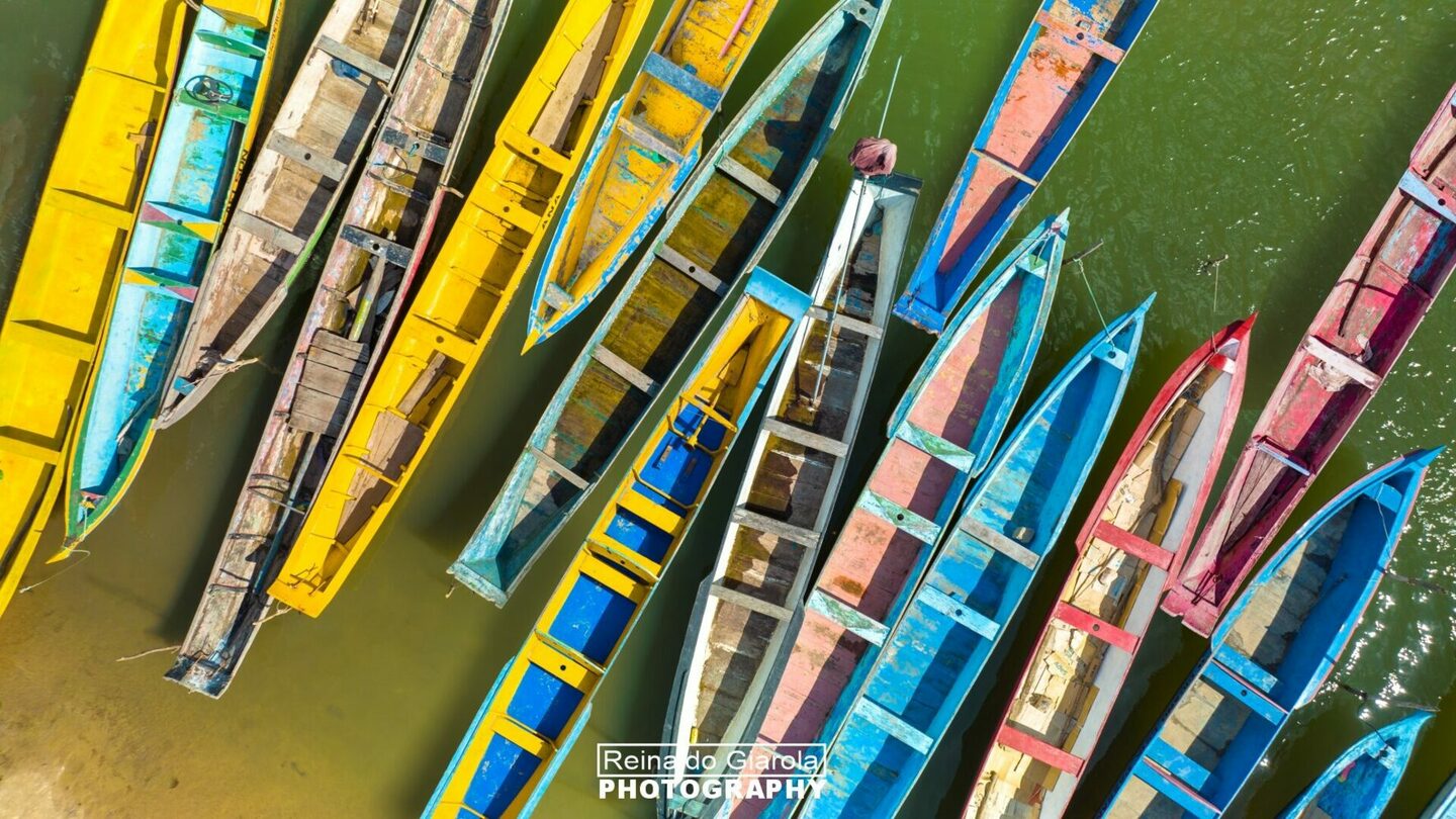 BORBOLETAS DO VELHO CHICO