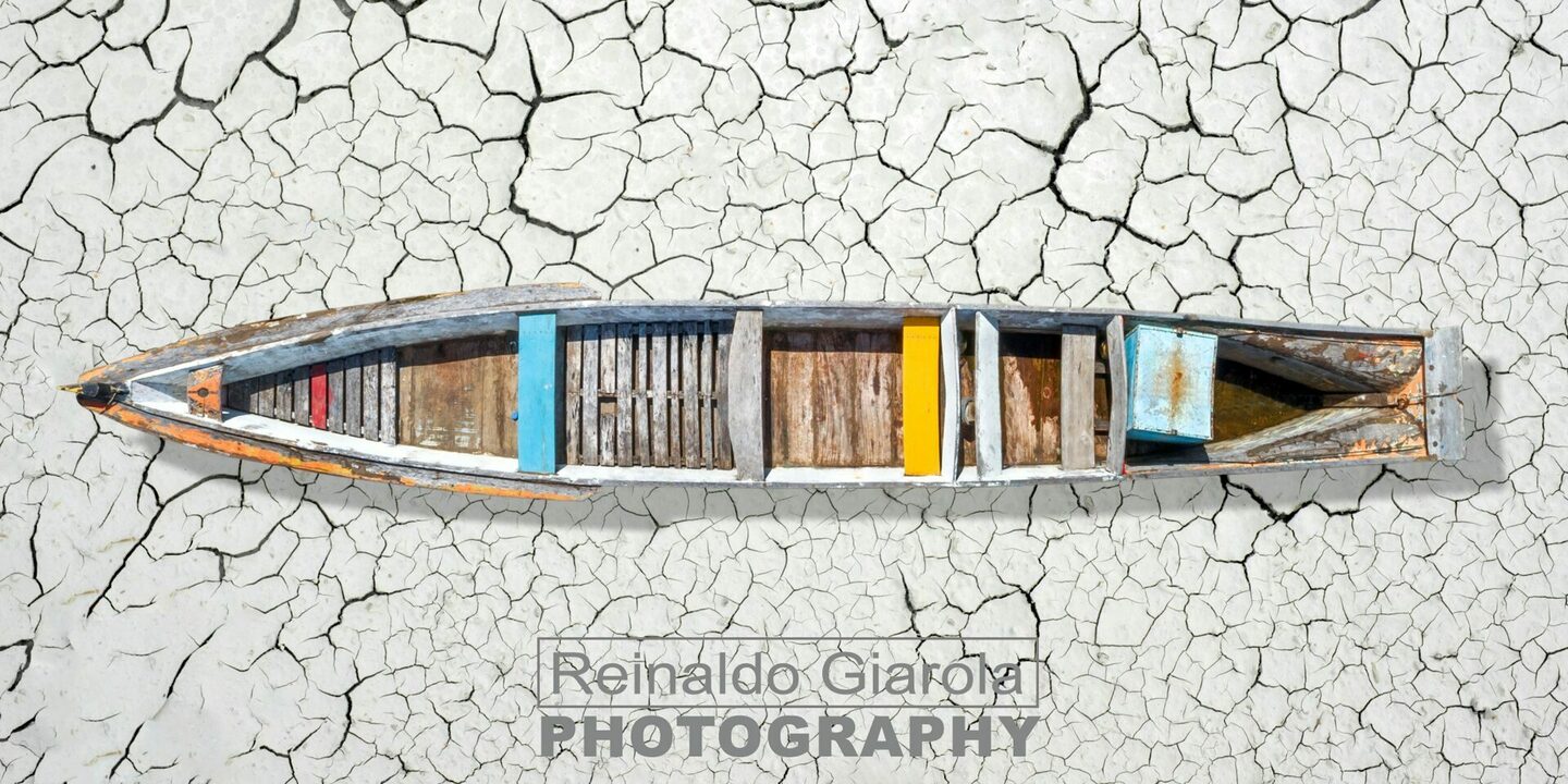 FLORES DE CHÃO DE GIZ