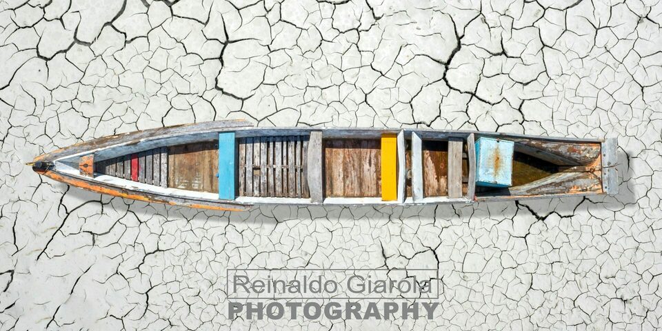 FLORES DE CHÃO DE GIZ